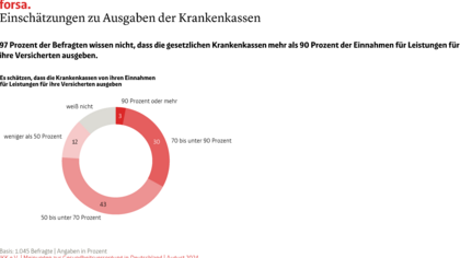 Grafik zu Ausgaben der Krankenkassen